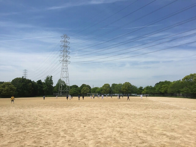 wp-1431848036523 image