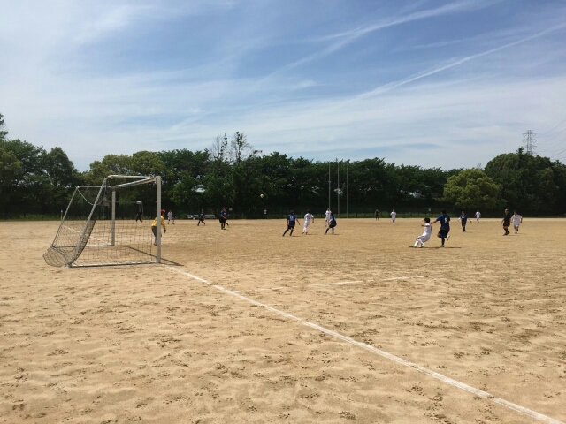 wp-1431848049006 image