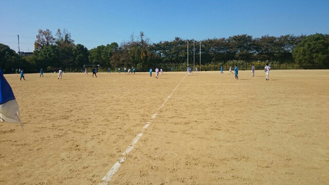 wp-1445208800582 image